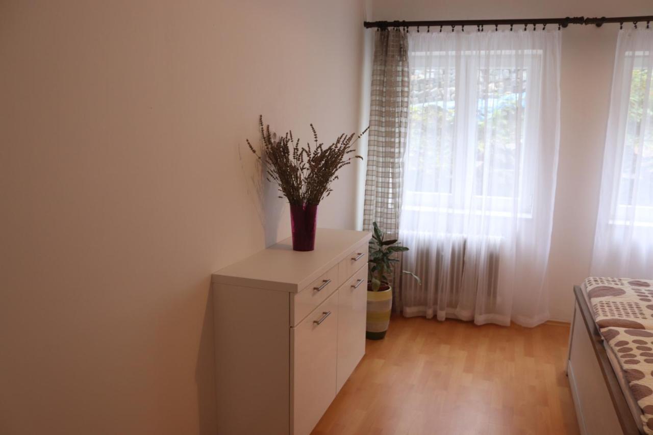 Apartman 825 Jáchymov Eksteriør billede
